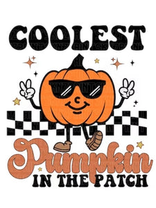 COOLEST PUMPKIN IN PATCH TEE